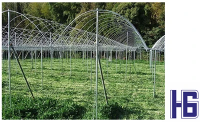 La aplicación de tuberías de fibra de carbono en la agricultura